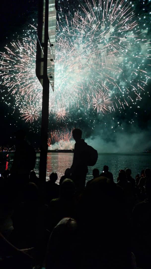 Fireworking  - Vancouver Nature Photos