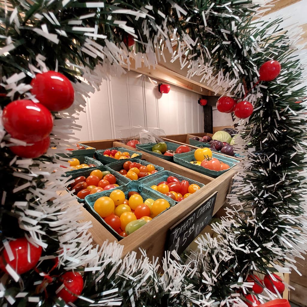 Christmas Fruits