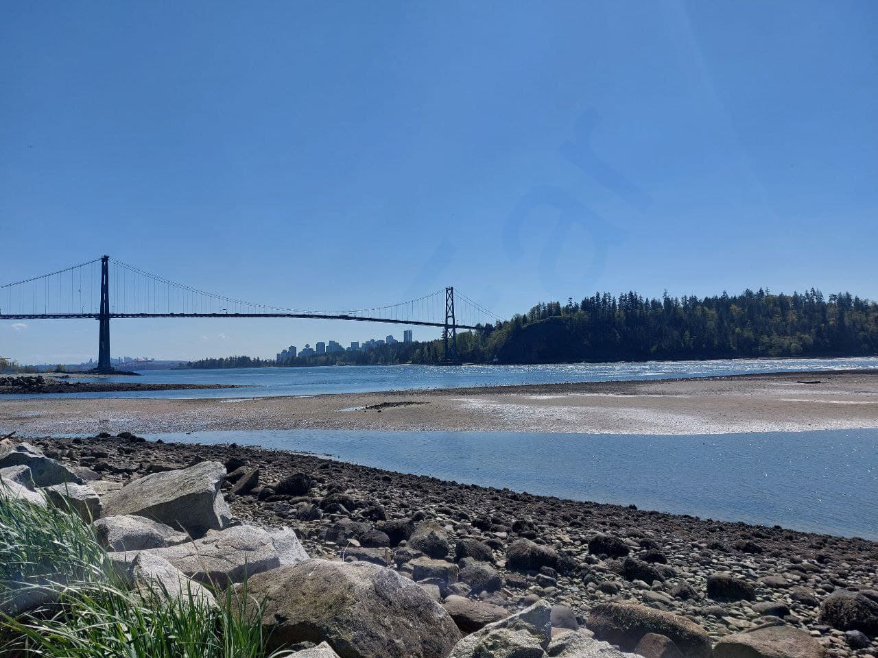 Lions Gate Bridge - Vancouver Nature Photos
