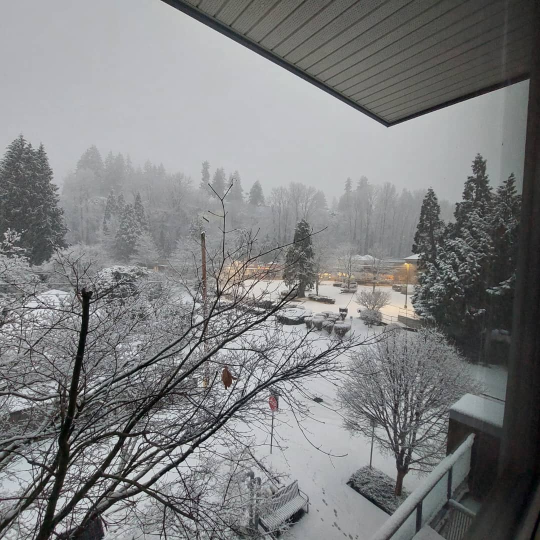 Snow in Vancouver - Vancouver sight