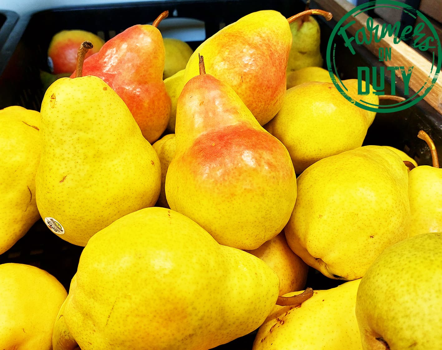 Local Pears - Farmers On Duty