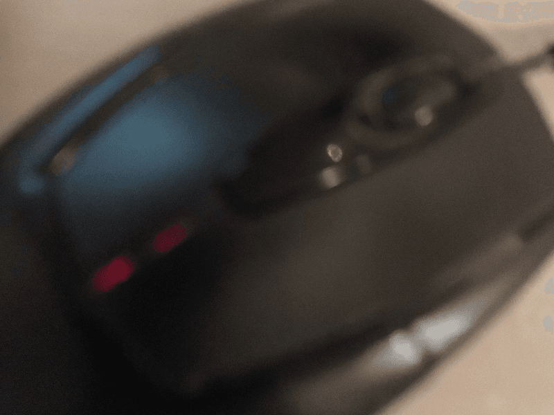 Mouse
