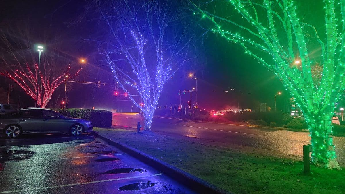 Squamish in new year - squaweb