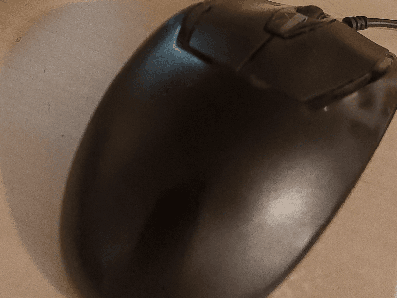 Mouse