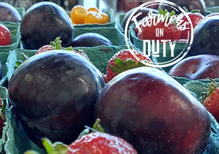Plums - Farmers On Duty