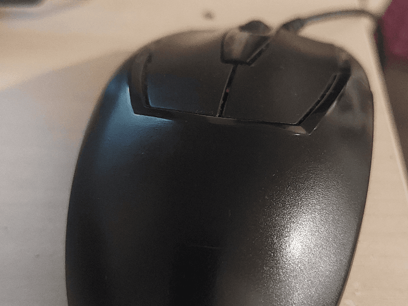 Mouse
