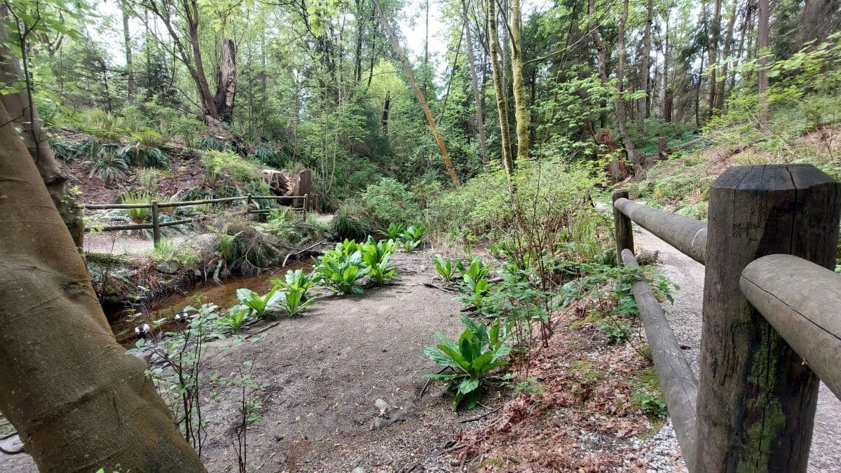Stanley Park - Vancouver Images