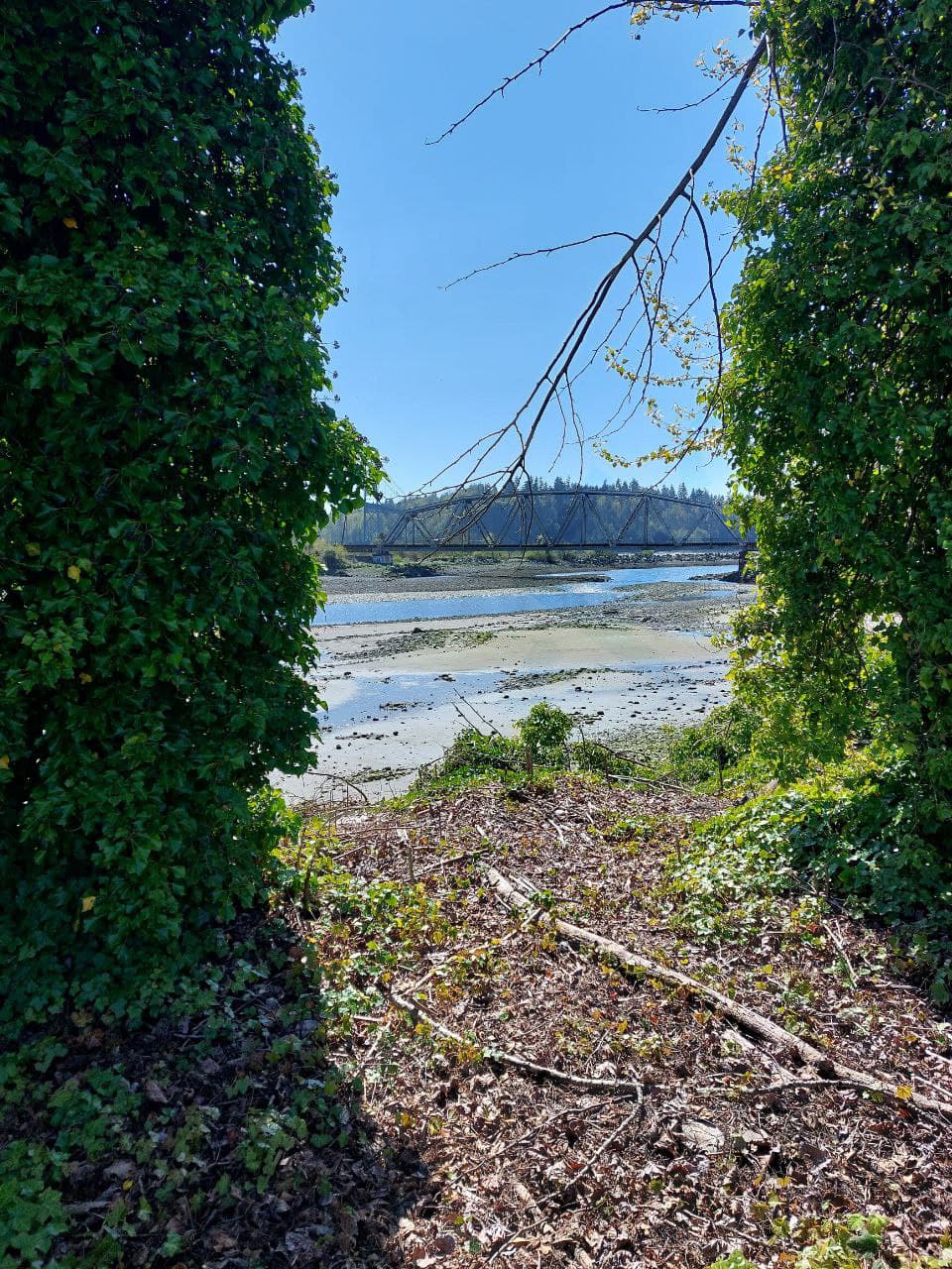 Ambleside3 - Vancouver Nature Photos