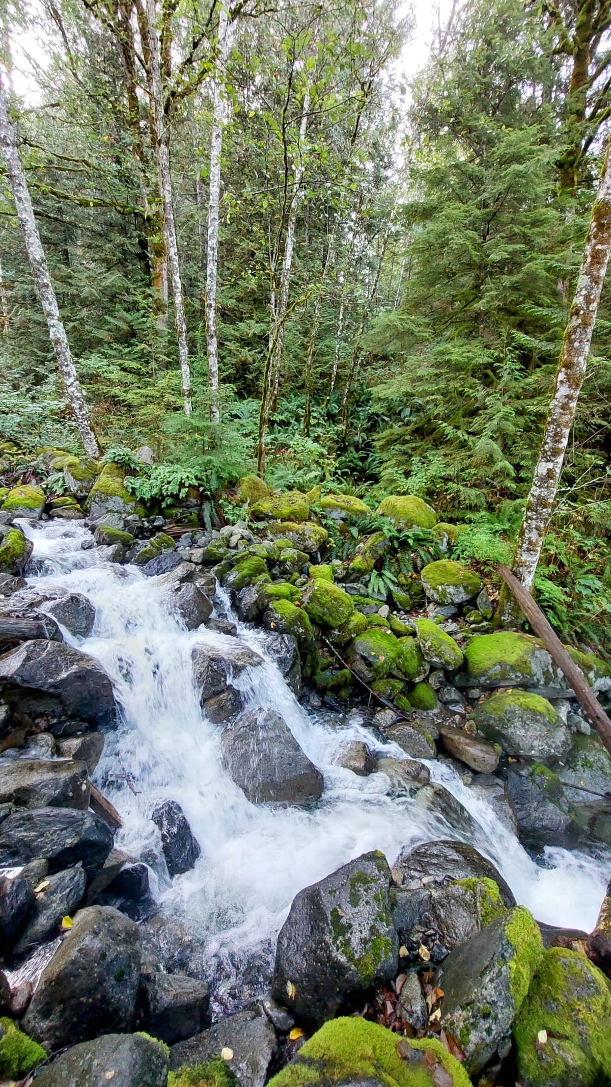 Porteau Cove