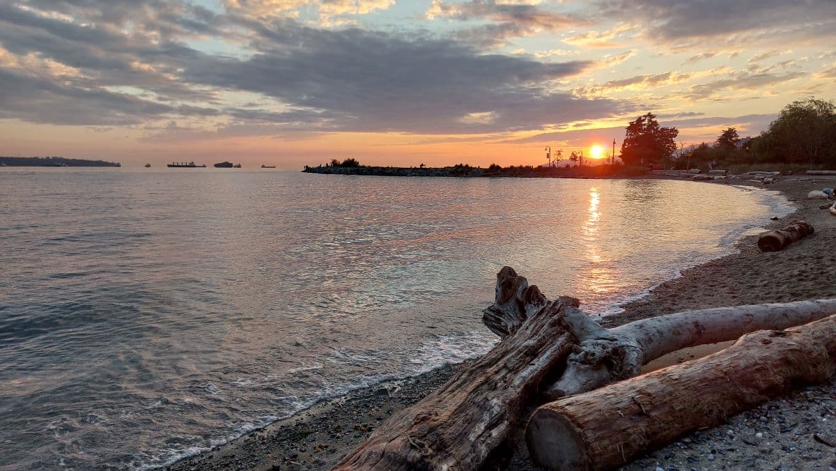Ambleside Park - Vancouver Images