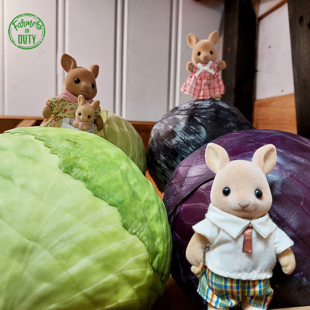 The Cabbage Feast - Farmers On Duty