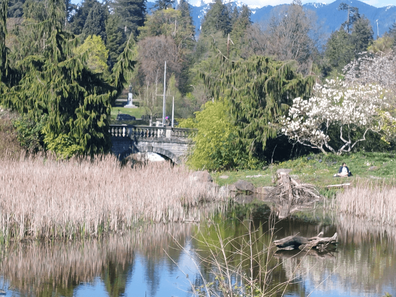 Stanley - Vancouver Images