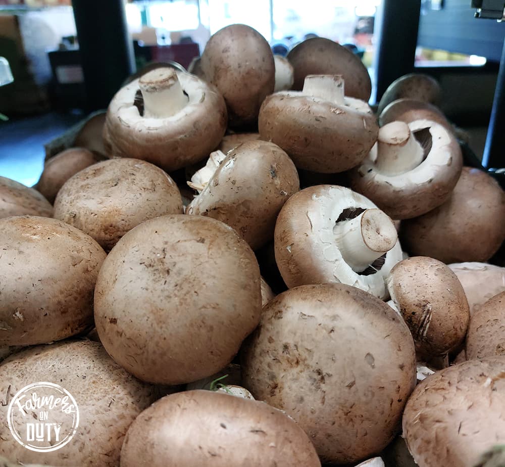 Mushrooms - Farmers On Duty