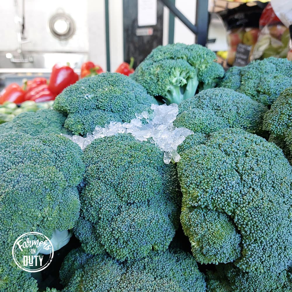Local Broccoli Organic - Farmers On Duty