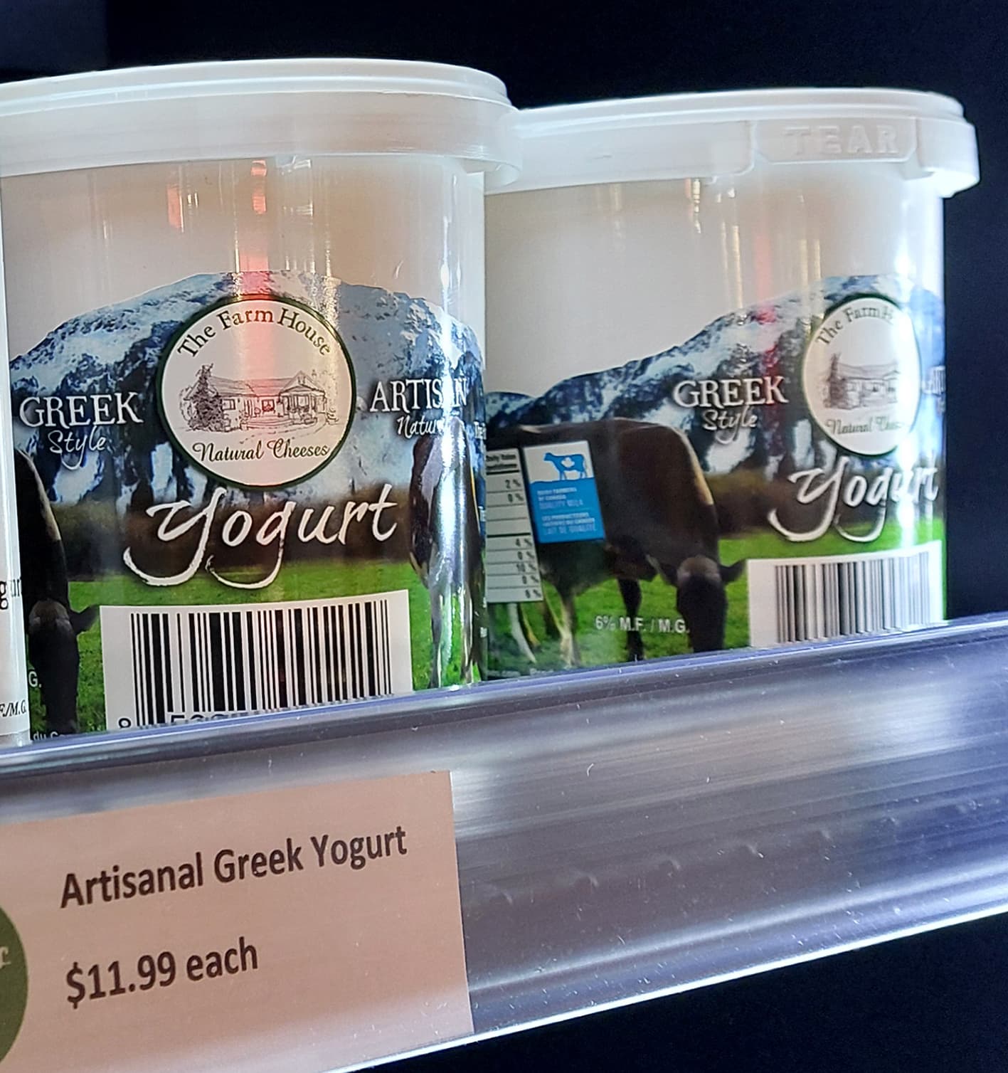 Artisanal greek Yogurt 750mL - Farmers On Duty