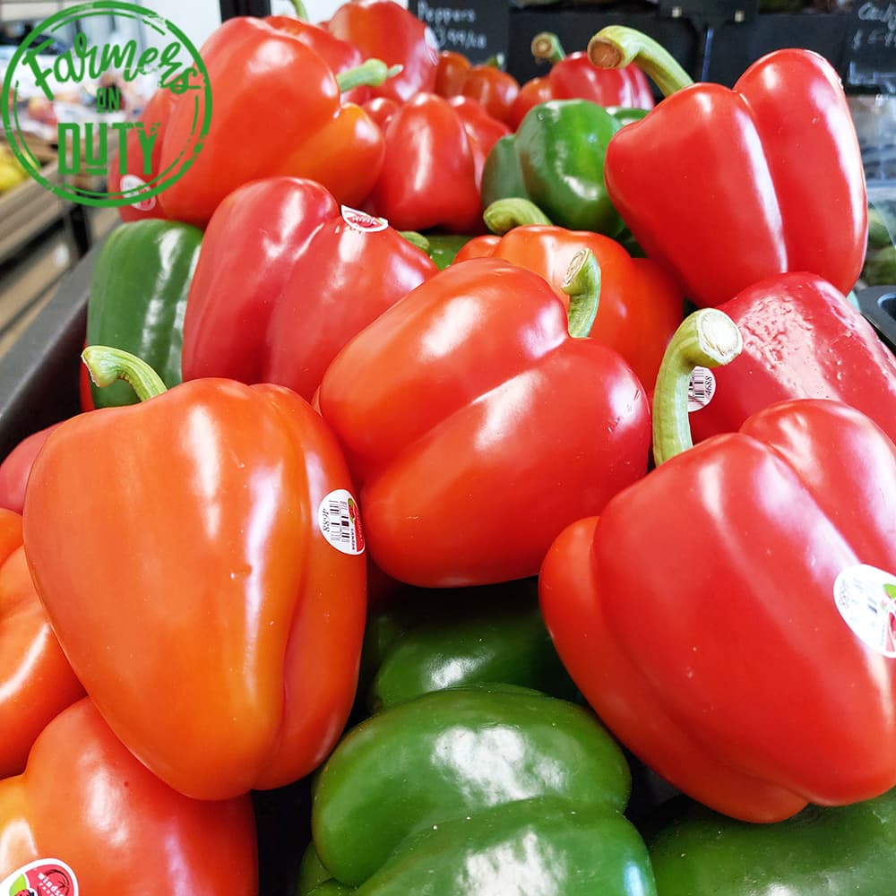 Sweet pepper - Farmers On Duty