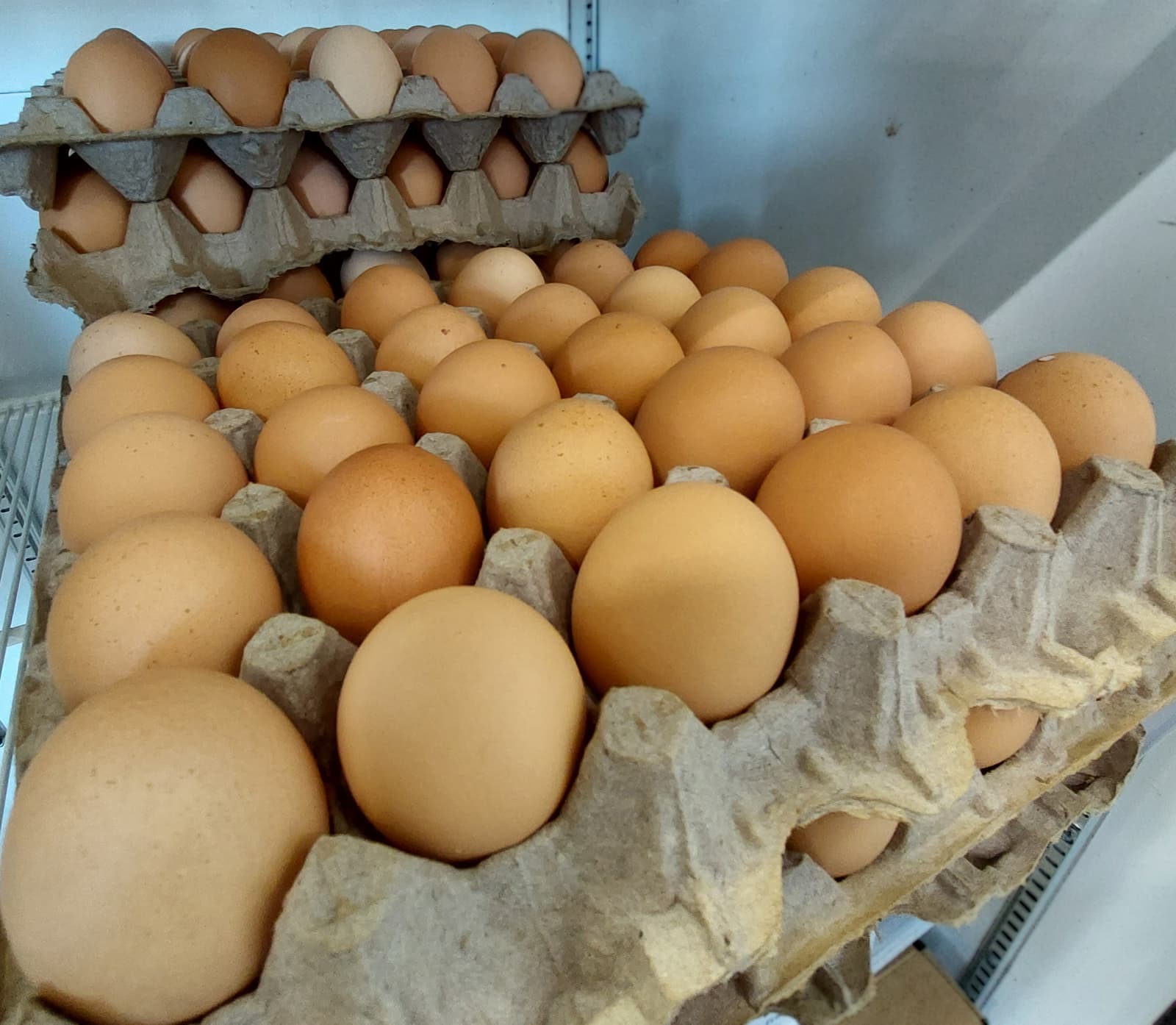 Free Range Flat ×30 Eggs - Farmers On Duty