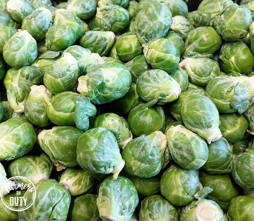 Brussel Sprouts - Farmers On Duty