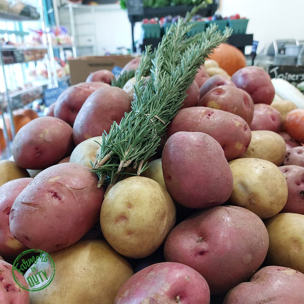 Locavore Pemberton Potato Bag