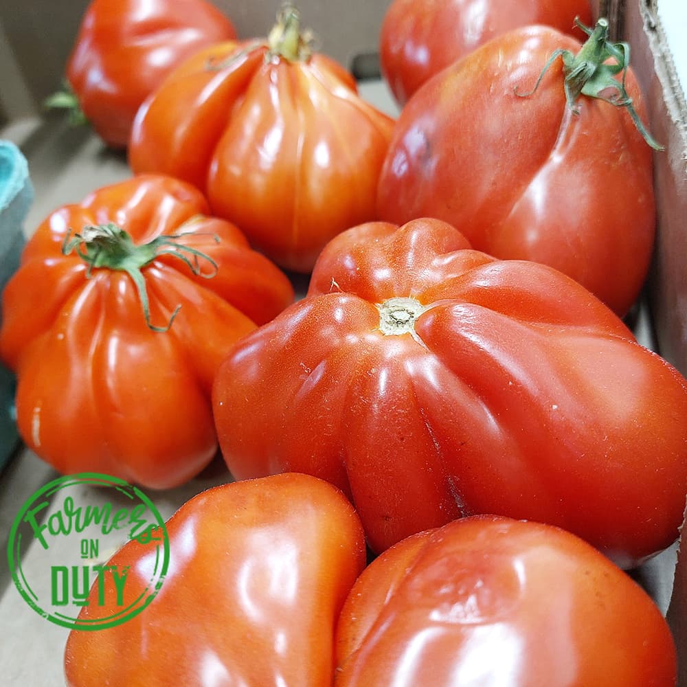 Tomato Heirloom - Farmers On Duty