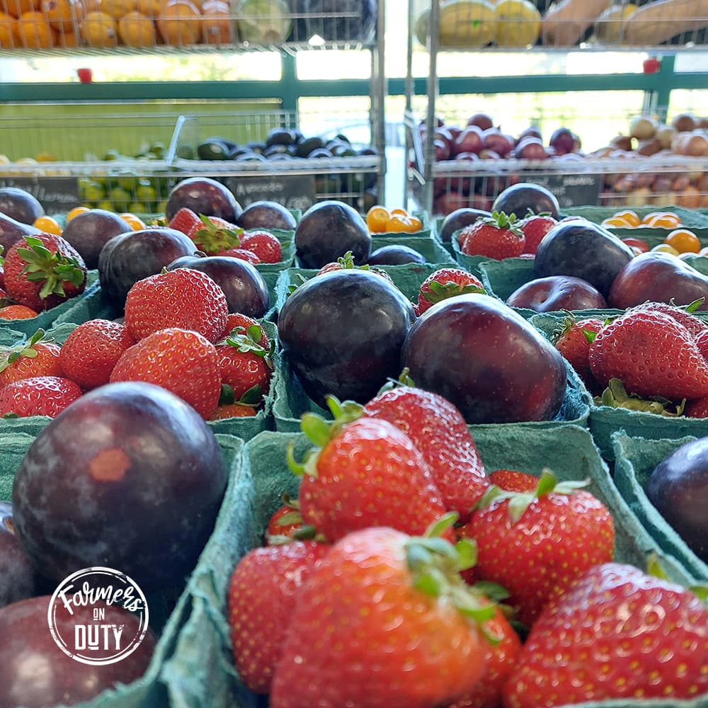 Plum - Farmers On Duty