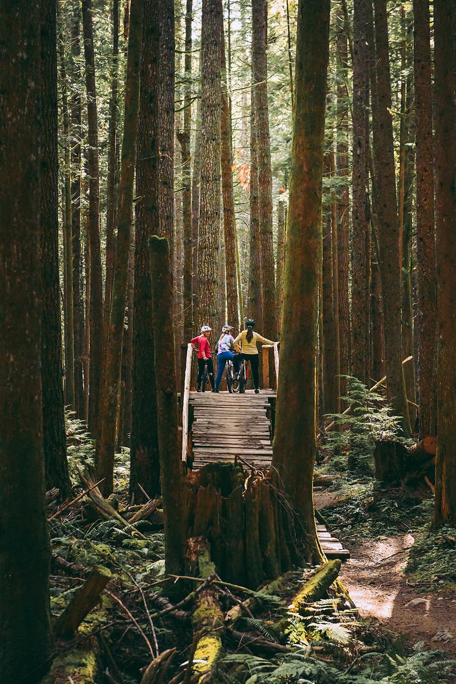 Guided Bike Riding in Squamish