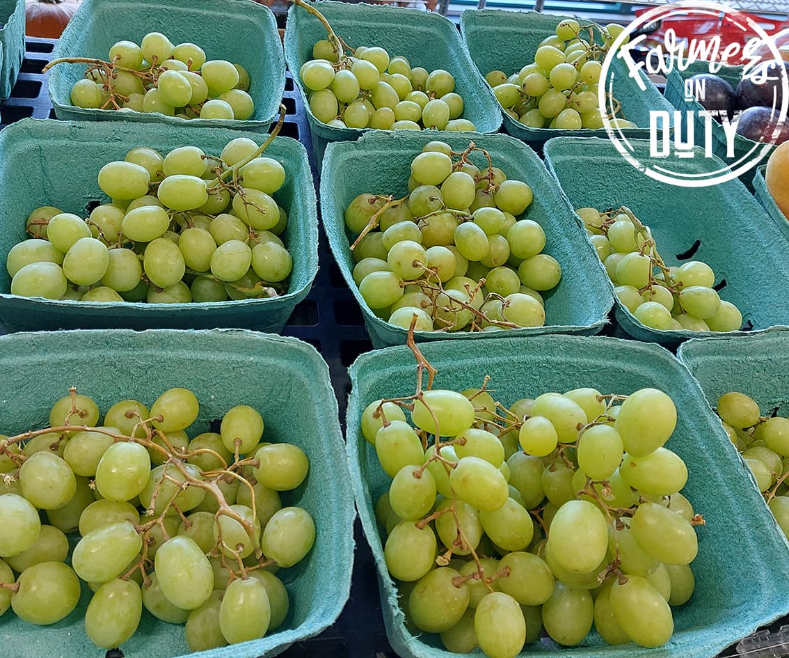 Organic Grapes Green - Farmers On Duty