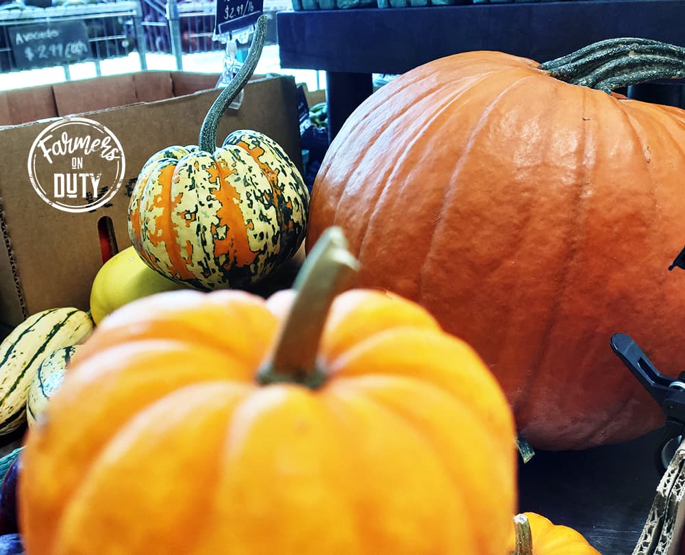 Local Pumpkins - Farmers On Duty