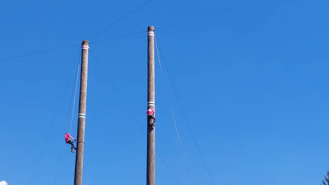 loggers festival
