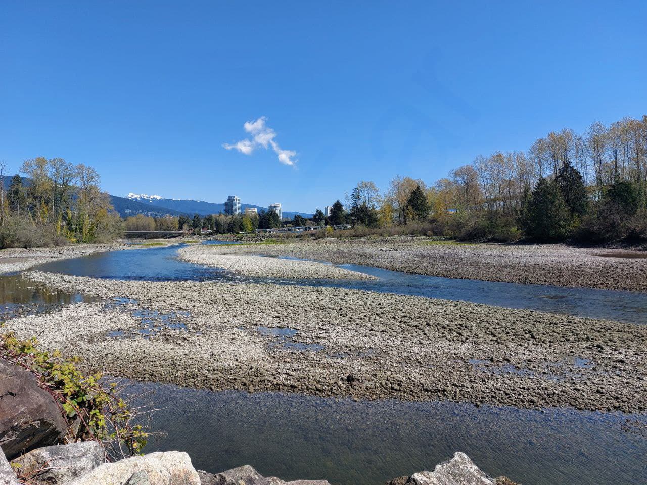 Ambleside Ebb1 - Vancouver Nature Photos