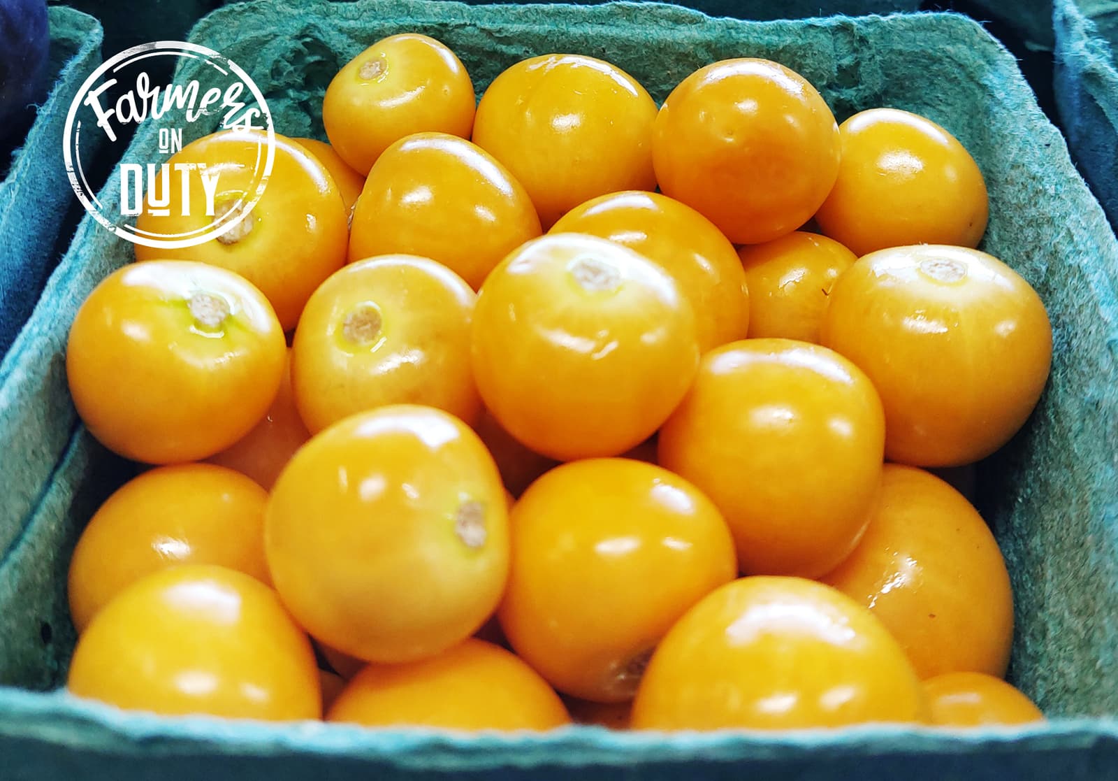 Tomato Cherry Pint - Farmers On Duty